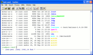 ANSI color-setting sequences in an ssh buffer.